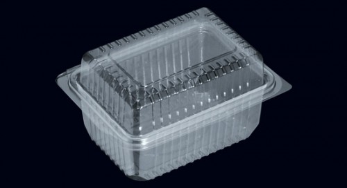 PEYNİR KABI 500 ML